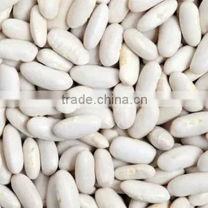 WHITE KIDNEY BEANS thumbnail-1