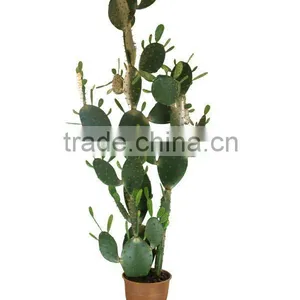 Artificial Cactus 1437 thumbnail-1