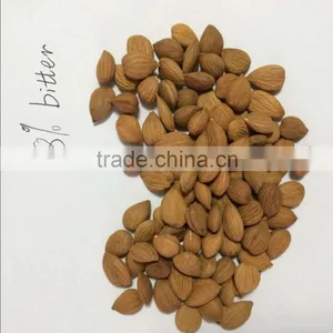 Supply Sweet Apricot Kernels With 8% Bitter thumbnail-1