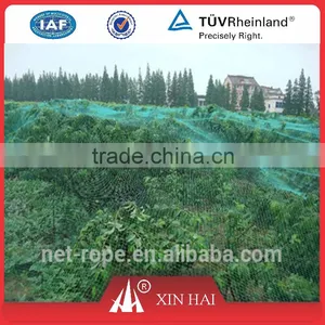 Orchard Nets/anti-bird Nets thumbnail-1