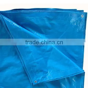 Blue Color HDPE Material Tarpaulin in Pieces thumbnail-2