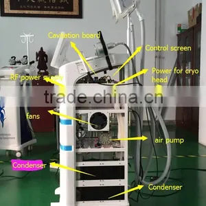 Cellulite Reduction Best Sell Product Cryolipolysis Fat Freeze Loss Loss Weight Weight Slimming Belts Machine For Slim Freezer Weight Loss thumbnail-4
