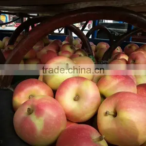 Fresh Red Gala Apple thumbnail-1