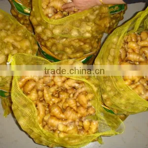 Chinese High Quality Greenfarm Dried Ginger for Sale thumbnail-1