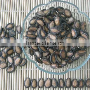 Wholesale Delicious Red Watermelon Seeds thumbnail-2
