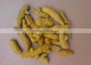 Turmeric Nizamabad thumbnail-1