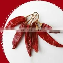 Export Dried Red Yido Chilli thumbnail-1