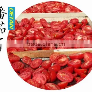 Red Sweet Dried Tomatoes For Wholesale Price Red Tomato thumbnail-1