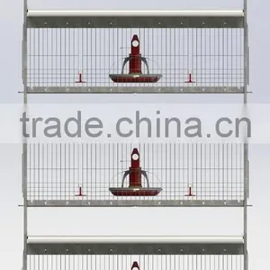 Broiler Cages thumbnail-6