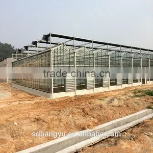 Agricultrue Greenhouse Plastic Sheet Fan Vegetable Greenhouse thumbnail-1