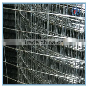 2015 Hot Sale Galvanized Welded Wire Mesh Roll/welding Fencing Wire Mesh thumbnail-2