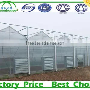China Agricultural Greenhouse thumbnail-1