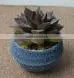 SJ10181201 Wholesale All Types Of Artificial Cactus Plants thumbnail-1