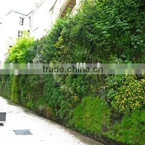 Artificial Eco-friendly Green Wall Fake Grass Wall for Home Decor thumbnail-4