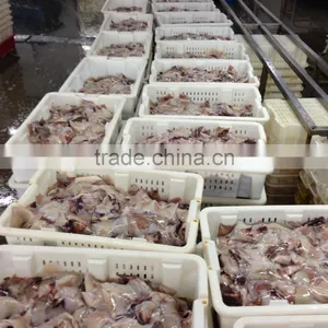 Frozen Squid Wing thumbnail-4