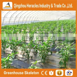 Heracles China Factory Direct Multi Span Green Houses ForAgriculture With Plastic Film on Best Price thumbnail-2
