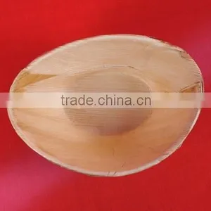 Biodegradable Tableware thumbnail-5