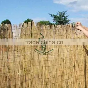 Reed Fence thumbnail-1