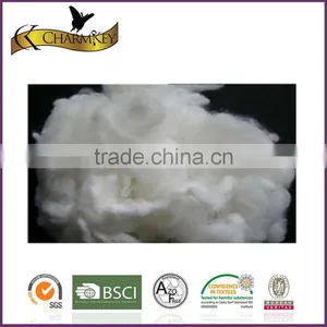 High Quality Latest Virgin Bright Polyamide 6 Staple Fiber thumbnail-1