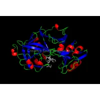 Pepsin thumbnail-1