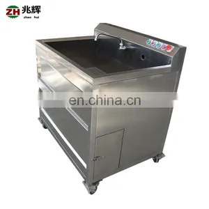 Commercial Small Blueberry Strawberry Fruit and Vegetable Washer Machine thumbnail-3