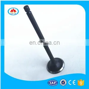 Engine Spare Parts Engine Valve for SUZUKI G10 thumbnail-1