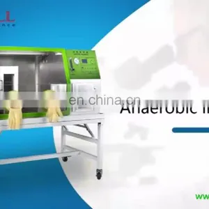 Оптовая продажа медицинских инкубаторов. Лабораторный анаэробный инкубатор для культивирования бактерий thumbnail-1