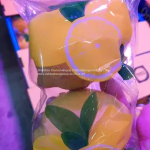 Mango & Lemon thumbnail-4