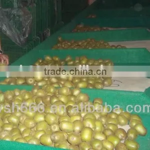 Fruit Sorting Machine for Pineapple, Mango, Grapefruit, Dragon Fruit thumbnail-2