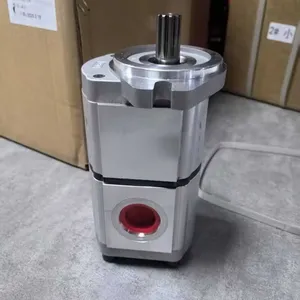 Hydraulic Gear Pump 31Q6-30050 for Excavator R170w-7 R200w-7 Hydraulic Gear Pump 0510 665 368 Oil Pump 0510 665 368 thumbnail-4