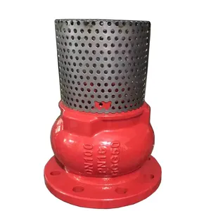 JIS/ANSI/DIN PN16 Cast Ductile Iron Flange Check Foot Valve With Stainless Steel Filter Water Pump thumbnail-4