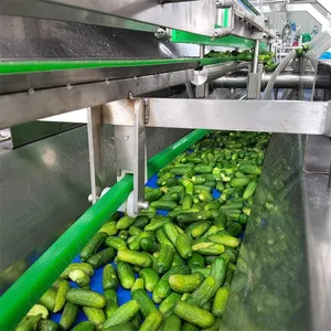 304 Stainless Steel 500KG/H Production Capacity Canned Cucumber Processing Line for Sale thumbnail-1