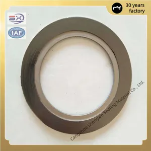 Stainless Steel Gasket per ASME Standard for High Pressure Pipeline thumbnail-3