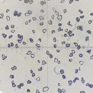 Synthetic Micron Diamond Powder For Polishing Gem thumbnail-5