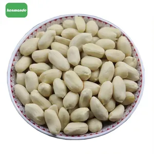 Bulk Blanched Peanut Kernels 25/29 for Snack Roasting thumbnail-3