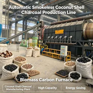Automatic Smokeless Coconut Shell Charcoal Production Line Biomass Carbon Furnace for Coconut Shell Charcoal Manufacturing Plant thumbnail-1