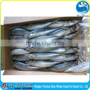 Net Weight Mackerel Fish 100% 15kg 10kg Mackerel thumbnail-5