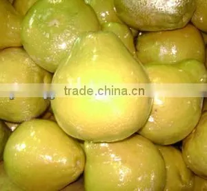 New Crop Chinese Fresh Honey Pomelo thumbnail-1