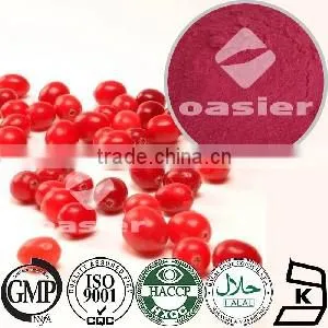 High Quality Plant Extract Cranberry Extract/ Proanthocyanidins/ Cranberry Extract Powder thumbnail-1