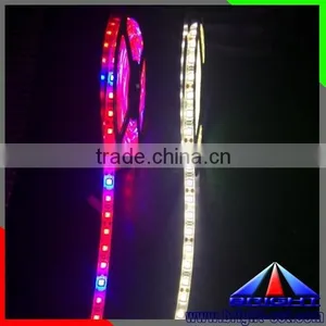 2016 Colorful Led Strip 5050 Grow Plant Light ,ip66 New Style Hot Sell Long Life Time Led Plant Grow Light Strip thumbnail-3