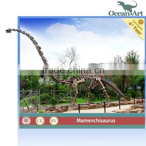 Museum Product Long Neck Dinosaur Skeleton thumbnail-1