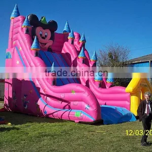 Lanqu Inflatable Slide Playground Inflatable Play Slide on Sale thumbnail-2