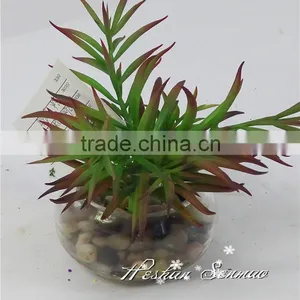 Hot Sale Indoor Decorative Competitive Price Artificial Potted Succulents With Competitive Price thumbnail-4