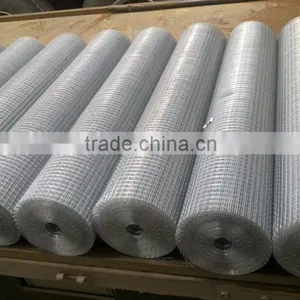 Low Price Electro Galvanized Welded Wire Mesh Made in China thumbnail-4