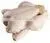 BULK EXPORT HALAL FROZEN WHOLE CHICKEN AND CHICKEN SHARWAMA ( COMPETITIVE PRICE). thumbnail-1