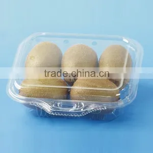 Disposable Plastic Food Tray thumbnail-1