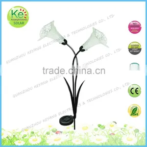 Outdoor Decorative Solar Led Light for Garden thumbnail-4