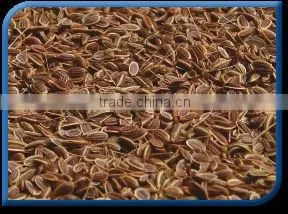 Dill Seed thumbnail-1