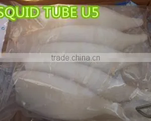 Whole Frozen Squid Tube U5,U7,U10-U20 thumbnail-1