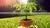 Hovering Plant Pots Wholesale Price thumbnail-2